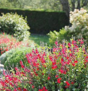 Empresa de jardineria a Osona