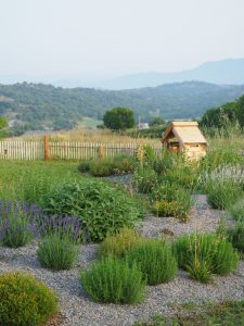 paisatgisme-naturalista