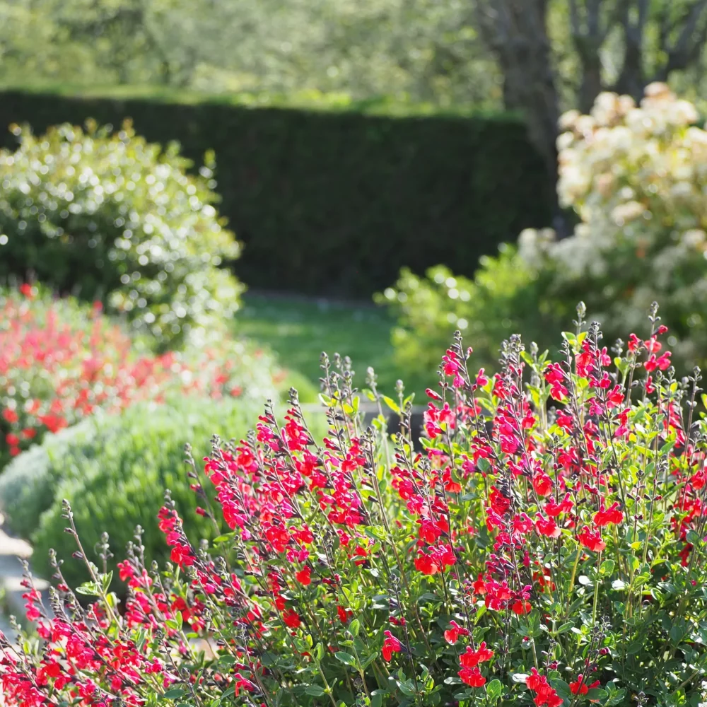 Jardinería Osona