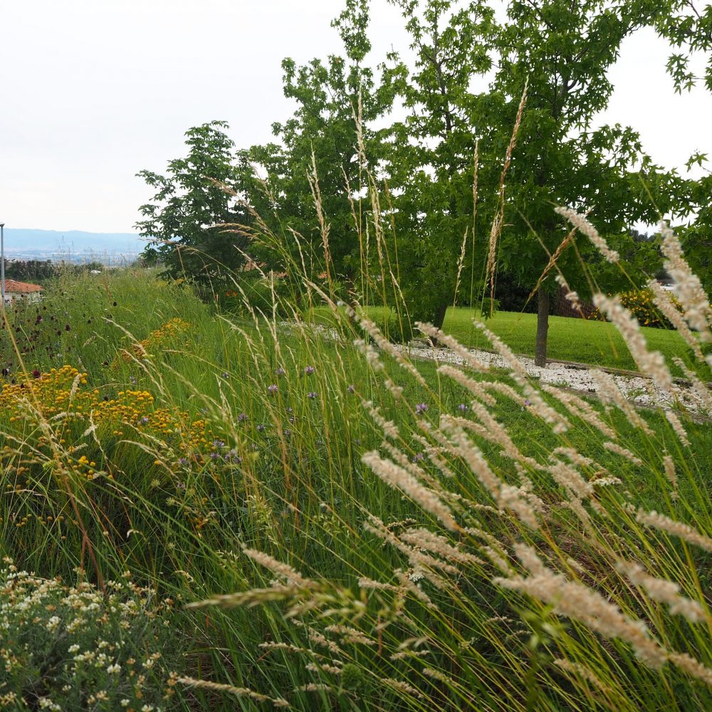 Manteniment-servei-integral-jardí-osona